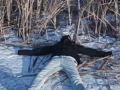 -长春市南湖公园