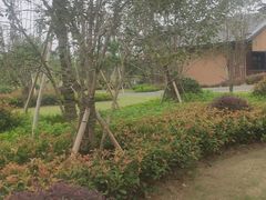 -天目湖涵田度假村