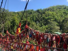 -西双版纳原始森林公园