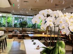 -Peet's 皮爷咖啡(陆家嘴中心店)
