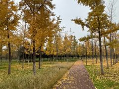 -汉长安城未央宫国家考古遗址公园