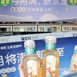 深圳探店🍃东方树叶限定桂花乌龙秋日赏味！