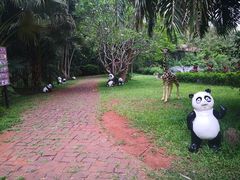 -海南热带野生动植物园