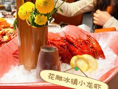 -杨氏青龙虾·羊蝎子(托乐嘉店)