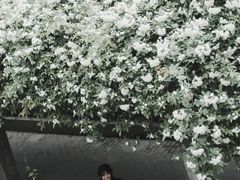 -四川大学(望江校区)
