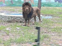 -秦皇岛野生动物园