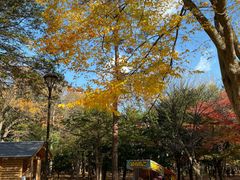 -北海道神宫