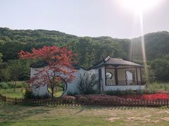 -苏州上方山国家森林公园
