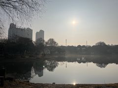 -堤角公园