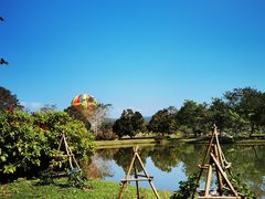 -中国科学院西双版纳热带植物园