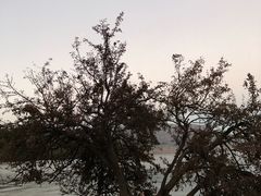 -泸沽湖里格半岛