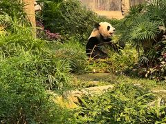 -石排湾郊野公园