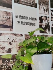 -丝域养发馆