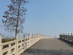 -广富林郊野公园
