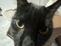 -阿莉餐厅(枣阳路店)