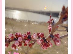 -绿堤公园