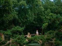 -上海醉白池公园