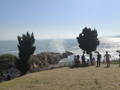 -小麦岛公园