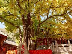 -红螺寺