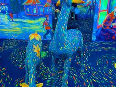 -天津梵高星空艺术馆(天河城旗舰店)