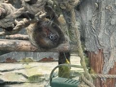 -鄂尔多斯野生动物园