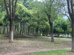 -汉江湾体育公园