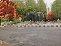 -合肥滨湖国家森林公园