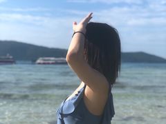 -珊瑚岛