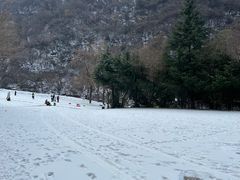 -西安祥峪森林公园