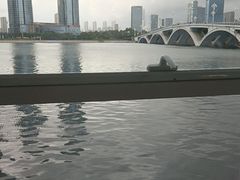 -前王院•巧克力海鲜市集餐厅(万平口店)