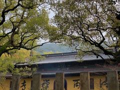 -普陀山风景区-佛顶山