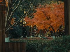 -诺贝尔湖公园