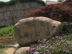 -嘉定紫藤园