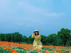 -径山花海