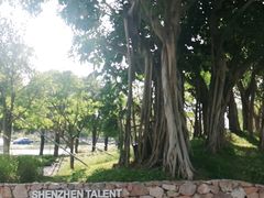 -深圳人才公园