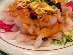 鸡丝大拉皮-万荣烤鸭店·北京菜(天坛店)
