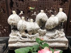 景观位-穿越·外婆家(西溪天堂店)