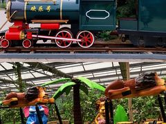 -南宫五洲植物乐园