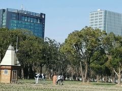-大宁灵石公园西门票处