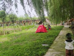 -同銮特种养殖场·龙虾垂钓