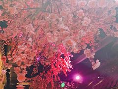 -韵秋荷(宝山龙湖天街店)