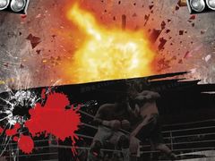 -体育科代表搏击散打体能训练馆(陶然亭店)