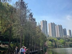 -重庆彩云湖湿地公园