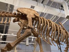 -FAIRYLAND龙族星球主题餐厅(凯丹广场店)