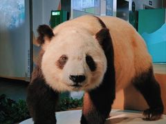 -陕西自然博物馆