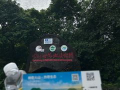 -海口火山口国家地质公园