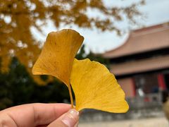 -苏州碑刻博物馆