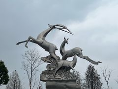 -广富林郊野公园