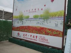 -东平国家森林公园