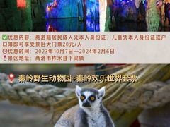 -华清宫景区